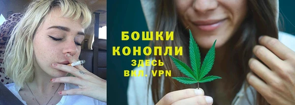 сатива Новокубанск