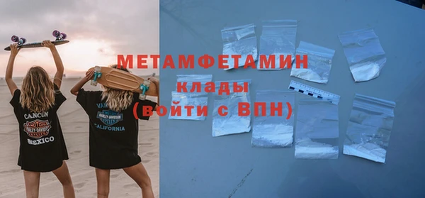 сатива Новокубанск