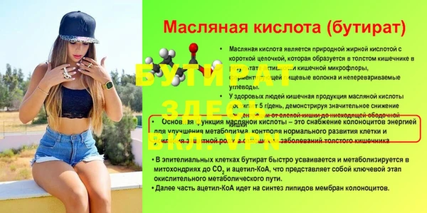 сатива Новокубанск