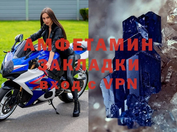 сатива Новокубанск