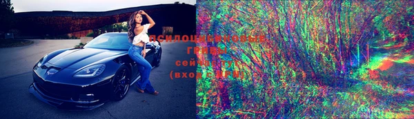 сатива Новокубанск