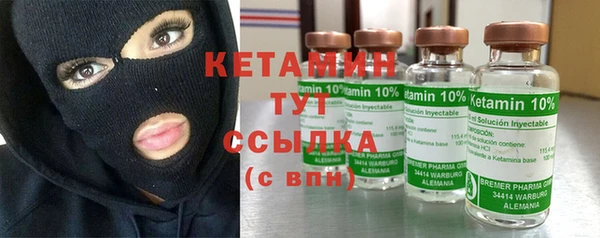 сатива Новокубанск