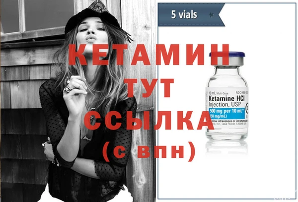 сатива Новокубанск