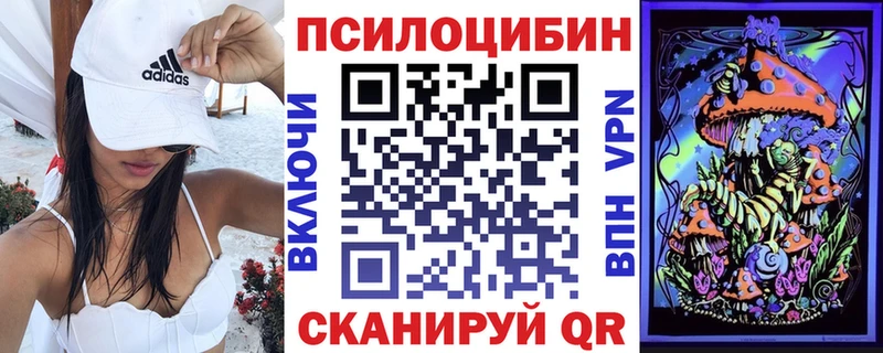 Купить где  Лагань  Псилоцибиновые грибы Psilocybine cubensis 